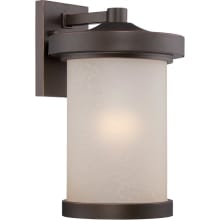 Diego Single Light 14" Tall LED Outdoor Wall Sconce with Patterned Glass Shade