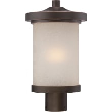 Diego Single Light 9" Wide LED Landscape Single Head Post Light with Patterned Glass Shade