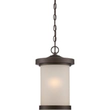 Diego Single Light 9" Wide LED Outdoor Mini Pendant with Patterned Glass Shade