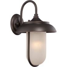 Tulsa Single Light 16-3/8" Tall LED Outdoor Wall Sconce with Patterned Glass Shade