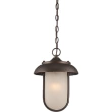 Tulsa Single Light 10" Wide LED Outdoor Mini Pendant with Patterned Glass Shade