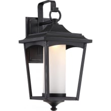 Essex Single Light 16-7/8" Tall Integrated LED Outdoor Wall Sconce with Frosted Glass Shade