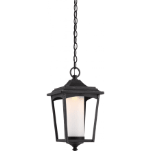 Essex Single Light 8-1/4" Wide Integrated LED Outdoor Mini Pendant with Frosted Glass Shade