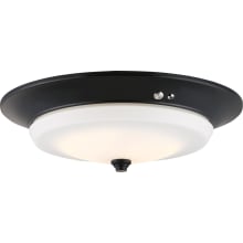 Single Light 15" Wide Integrated LED Flush Mount Bowl Ceiling Fixture with Frosted Glass Shade