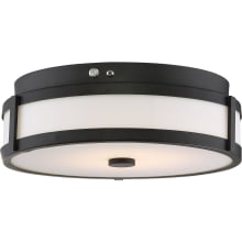 Single Light 14" Wide Integrated LED Flush Mount Drum Ceiling Fixture