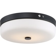 Single Light 15" Wide Integrated LED Flush Mount Drum Ceiling Fixture with Frosted Glass Shade