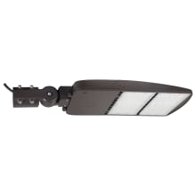 2 Light 30" Wide LED Commercial Flood Light - 4000K, 240 Watts, and 120 - 277 Volts