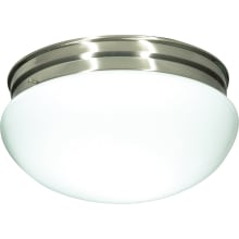 2 Light 12" Wide Flush Mount Bowl Ceiling Fixture