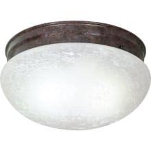 2 Light 12" Wide Flush Mount Bowl Ceiling Fixture