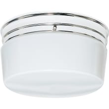 2 Light 10" Wide Flush Mount Ceiling Fixture