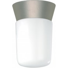 Single Light 4-1/4" Wide Outdoor Semi-Flush Ceiling Fixture with Frosted Glass Shade