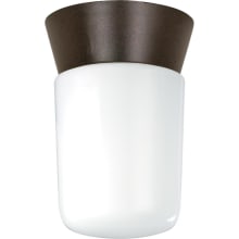 Single Light 4-1/4" Wide Outdoor Semi-Flush Ceiling Fixture with Frosted Glass Shade