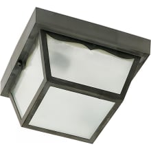 2 Light 10-1/4" Wide Outdoor Flush Mount Square Ceiling Fixture with Frosted Glass Shade