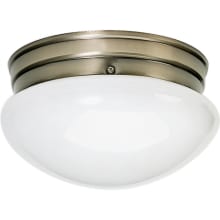 2 Light 9-1/2" Wide Outdoor Flush Mount Bowl Ceiling Fixture with Frosted Glass Shade