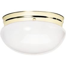 2 Light 12" Wide Outdoor Flush Mount Bowl Ceiling Fixture with Frosted Glass Shade
