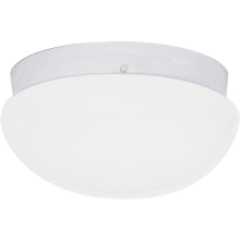 2 Light 12" Wide Outdoor Flush Mount Bowl Ceiling Fixture with Frosted Glass Shade