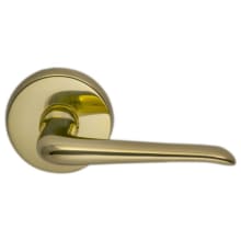 Non-Turning One-Sided Door Lever with 42 Style Handle and Round Rose