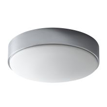 Journey 14" Wide 2 Light Single Flush Mount LED Ceiling Fixture with Acrylic Shade