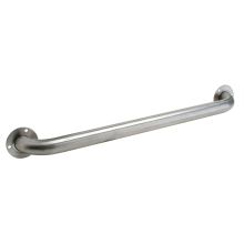 12" Stainless Steel Grab Bar with Exposed Screws