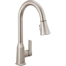 Ezra 1.0 GPM Single Hole Pull Down Kitchen Faucet