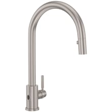 Holborn 1.8 GPM Single Hole Pull Down Kitchen Faucet