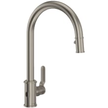 Armstrong 1.8 GPM Single Hole Pull Down Kitchen Faucet