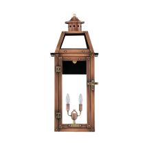 Bienville 10" Wide 2 Light Outdoor Wall-Mounted Lantern in Electric Configuration