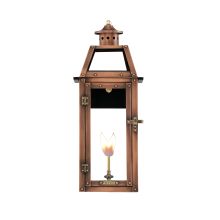 Bienville 10" Wide Outdoor Wall-Mounted Lantern Natural Gas Configuration