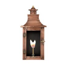 Royal 10" Wide Outdoor Wall-Mounted Lantern Natural Gas Configuration