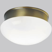 Fitter 2 Light 9-1/2" Wide Flush Mount Bowl Ceiling Fixture with Frosted Glass