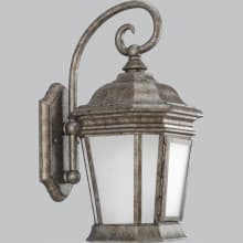 Crawford Single Light 16-3/4" High Outdoor Wall Sconce with Frosted Glass