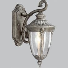 Meridian 1 Light 15" Tall Outdoor Wall Sconce with Clear Seeded Glass Shade