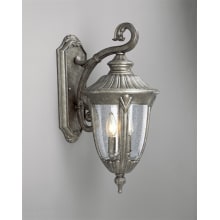Meridian 2 Light 20" Tall Outdoor Wall Sconce with Clear Seeded Glass Shade