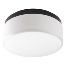 Maier Convertible LED 9-1/16" Wide Integrated LED Flush Mount Ceiling Fixture / Wall Sconce