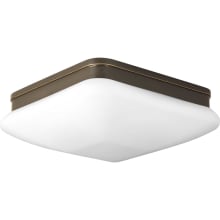 Appeal Flush Mount Ceiling Fixture with 2 Lights - 11" Wide