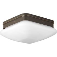 Appeal 2 Light Flush Mount Ceiling Fixture with Etched Opal Glass Shade - 9" Wide