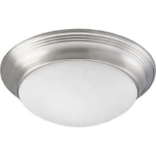 1 Light Flush Mount Ceiling Fixture with Etched Alabaster Glass Shade - 12" Wide