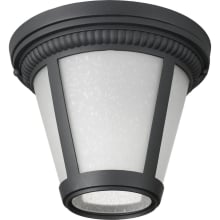 Westport LED Outdoor Flush Mount Ceiling Fixture with White Seeded Glass - 9" Wide