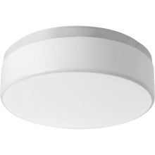 Maier Convertible 2 Light LED 14" Wide Energy Star Certified Flush Mount Ceiling Fixture / Wall Sconce