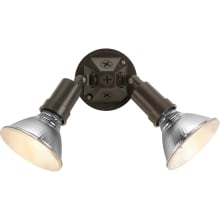 PAR Lampholder Series Two-Light Adjustable Swivel Non-Metallic Shadeless Flood Light