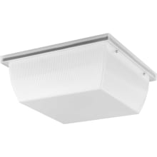 Hard Nox 11" Wide LED Outdoor Flush Mount Square Ceiling Fixture