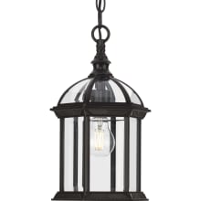 Dillard 8" Wide Outdoor Mini Pendant with Clear Glass Shade