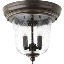 Ashmore 2 Light Flush Mount Outdoor Ceiling Fixture with Seedy Glass Shade - 11" Wide