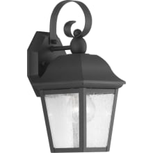 Kiawah Single Light 5-5/8" Wide Outdoor Wall Sconce with Clear Seeded Glass Panels