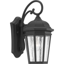 Verdae Single Light 6-1/4" Wide Outdoor Wall Sconce with Clear Seeded Glass Panels