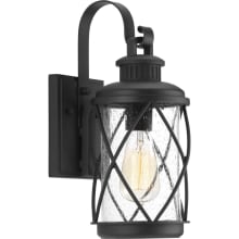 Hollingsworth Single Light 14-1/2" Tall Outdoor Wall Sconce