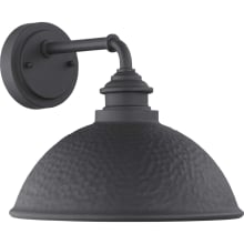 Englewood Single Light 10" Tall Outdoor Wall Sconce