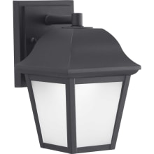 Single Light 9" Tall LED Outdoor Wall Sconce