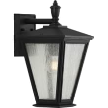 Cardiff 17" Tall Outdoor Wall Sconce