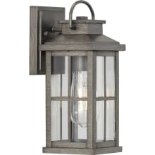 Williamston 12" Tall Outdoor Wall Sconce